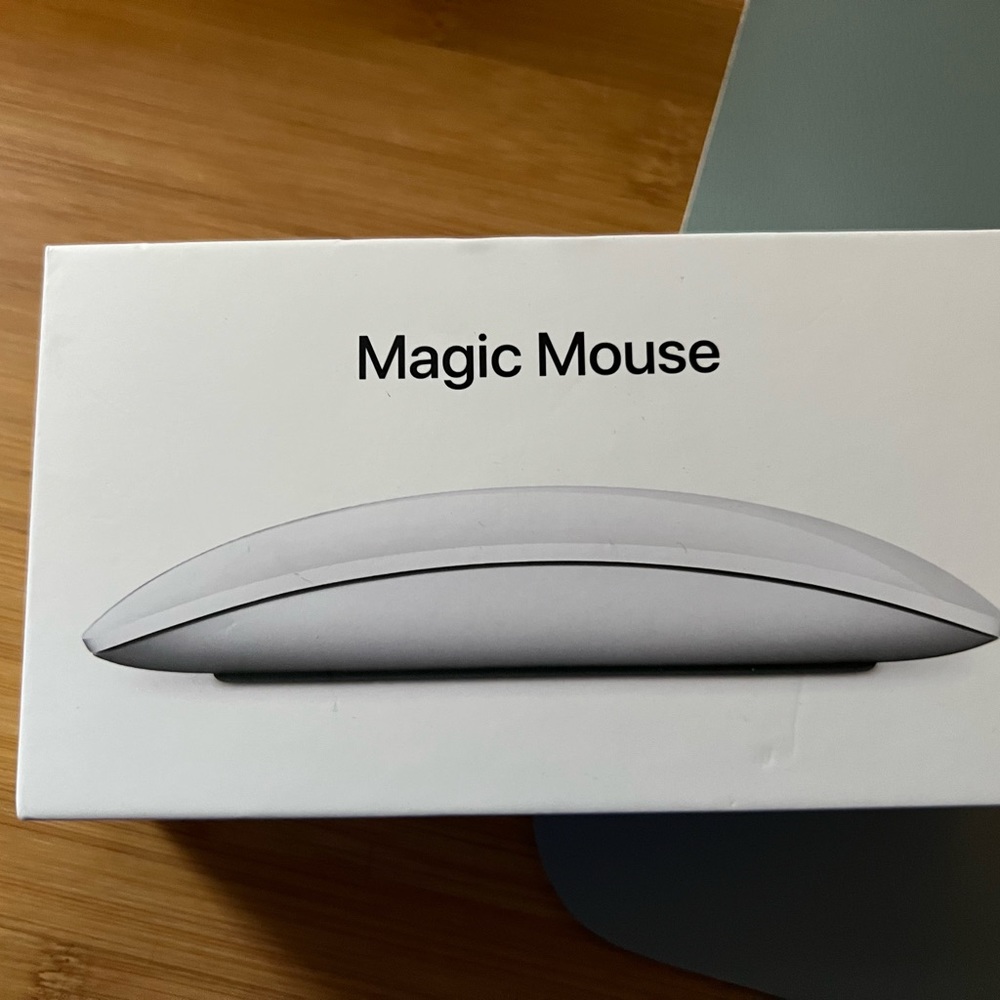 Apple Magic Mouse.